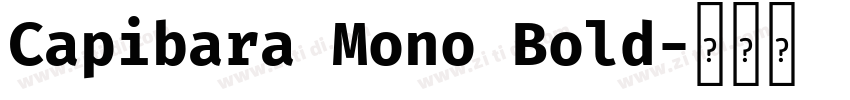 Capibara Mono Bold字体转换